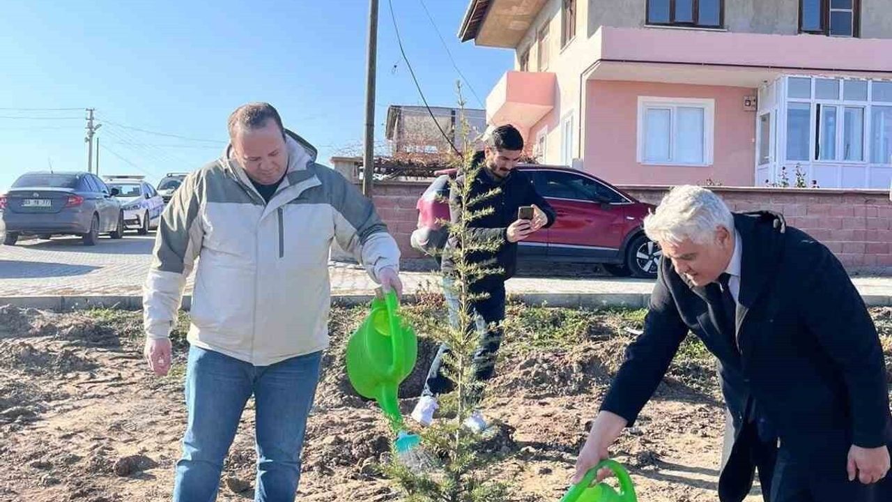 Şuhut'ta Hatıra Ormanı Kuruldu