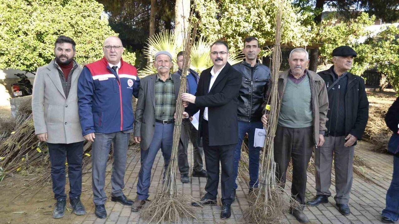 Sultanhisar’da Fidan Dağıtım Etkinliği Gerçekleştirildi