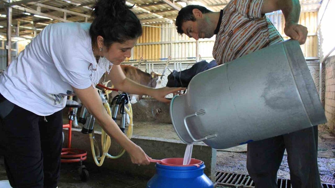 Süt Üreticilerinden Fiyat Güncellemesi Talebi