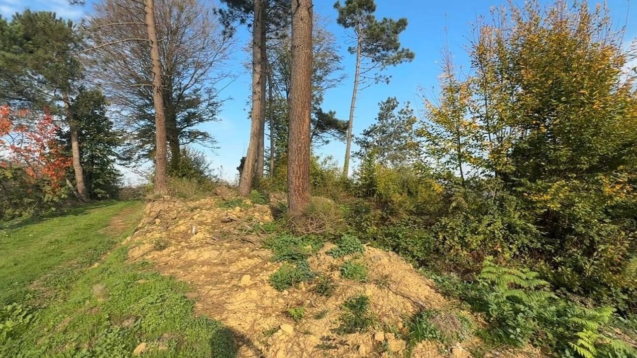 Tarihi Mezarlığın Çürüyen Hatıraları: Kocaali'deki Tahribat