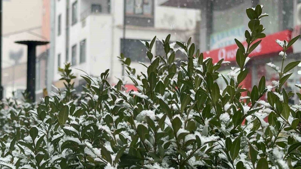 Tatvan'da Kar Yağışı Hayatı Olumsuz Etkiledi