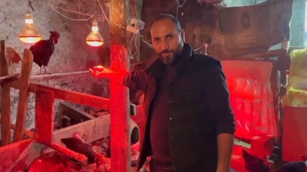 Tavuklara Müzik Terapi Uygulaması: Yumurtada Artış Gözlemlendi