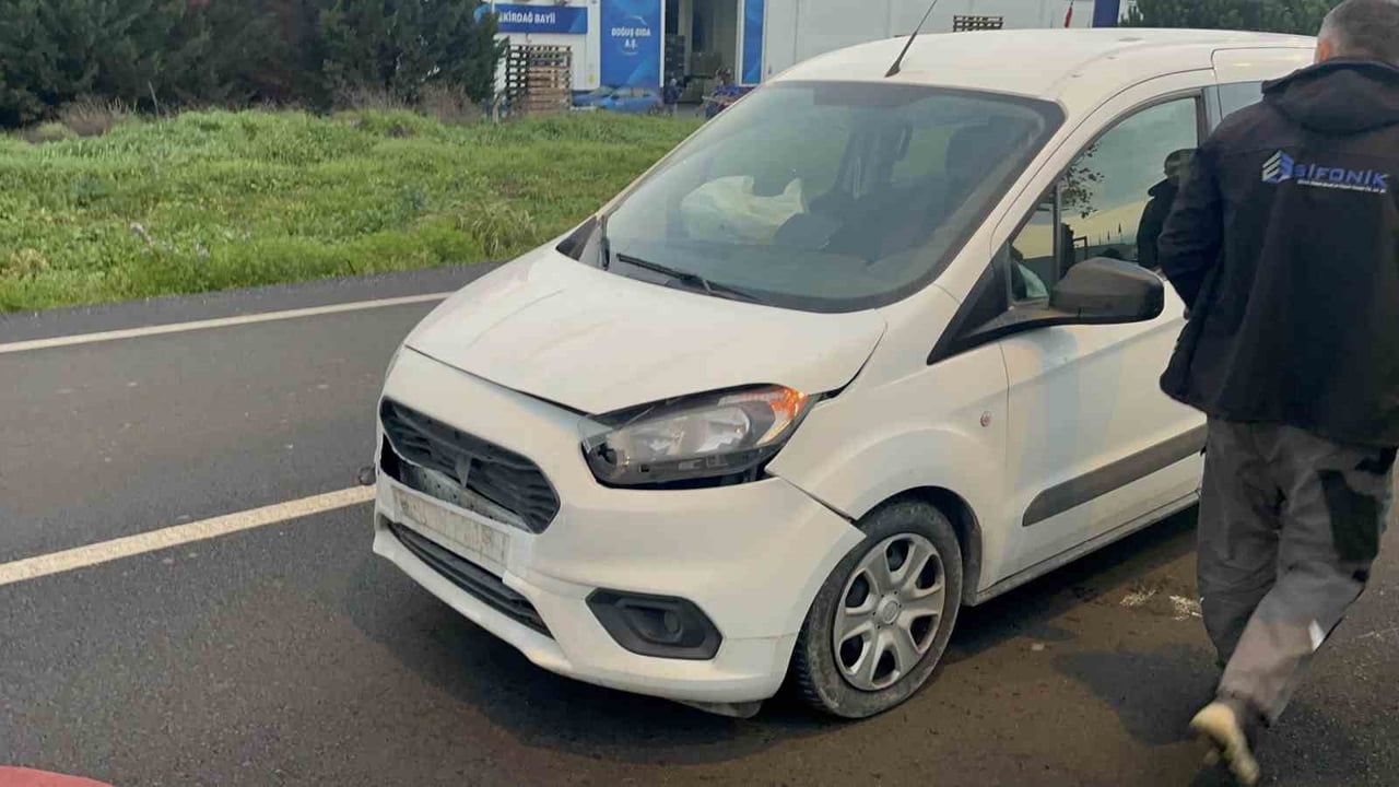 Tekirdağ'da Başka Bir Kaza: Başıboş Köpeğe Çarpan Araç Sürücüsü Yaralandı