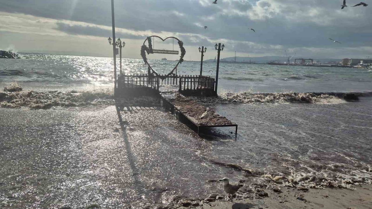 Tekirdağ'da Lodos Sebebiyle Kıyılara Kızıl Yosunlar Taşındı