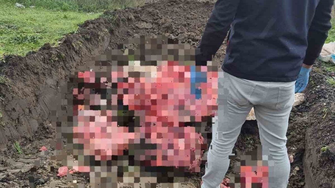 Tekirdağ'da Menşei Belirsiz 1 Ton Hayvansal Ürün İmha Edildi