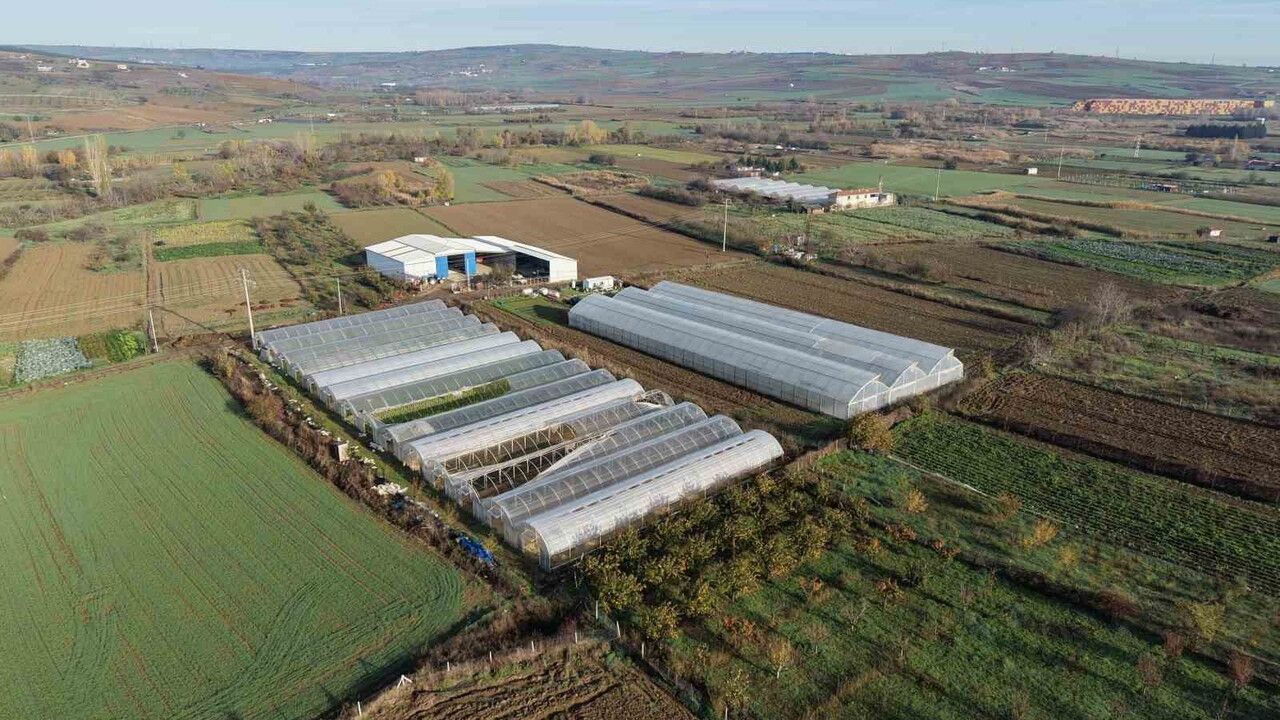 Tekirdağ'da Tarımda Yenilik: 70 Futbol Sahası Büyüklüğünde Sera Naylonu Dağıtıldı