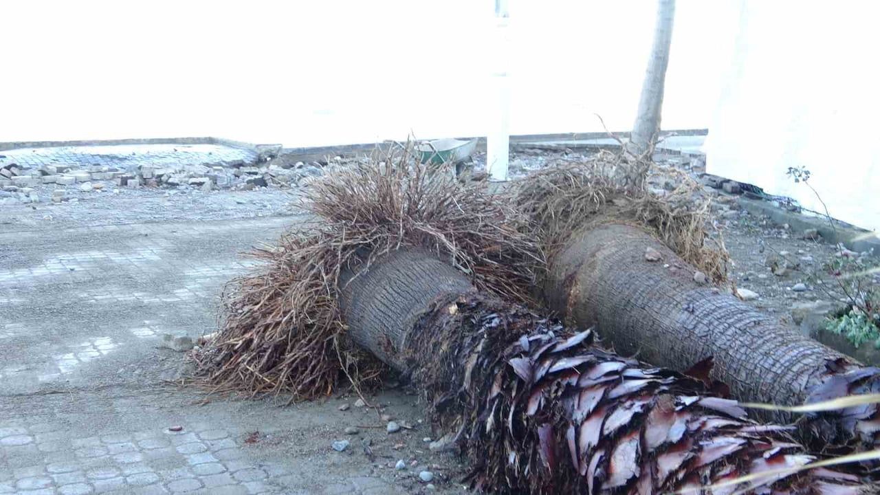 Tirebolu'da Fırtına Sonrası Hasar Tespit Çalışmaları Başladı