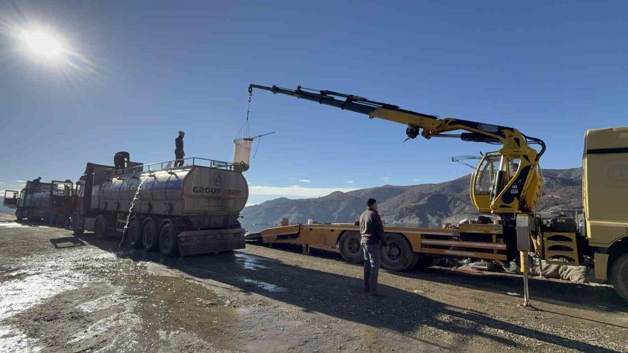 Tokat'ın Somonları Avrupa ve Uzak Doğu Ülkelerine İhraç Ediliyor
