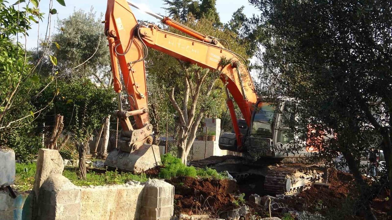 Toroslar Belediyesi Zeytin Ağaçlarını Kesiyor, Tepkiler Büyüyor