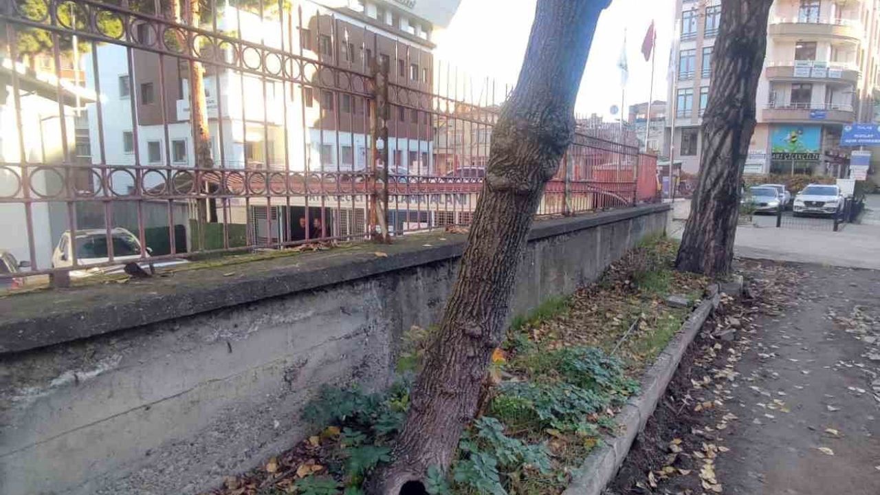 Trabzon Büyükşehir Belediyesi'nden Yeşil Doku Açıklaması