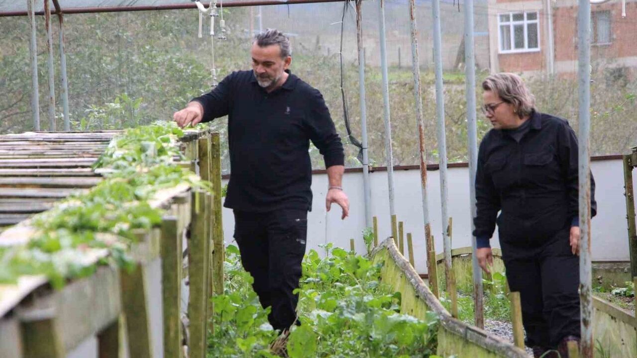 Trabzon'un Salyangoz İhracatı: Googlis Markası ile Globalleşme Yolunda