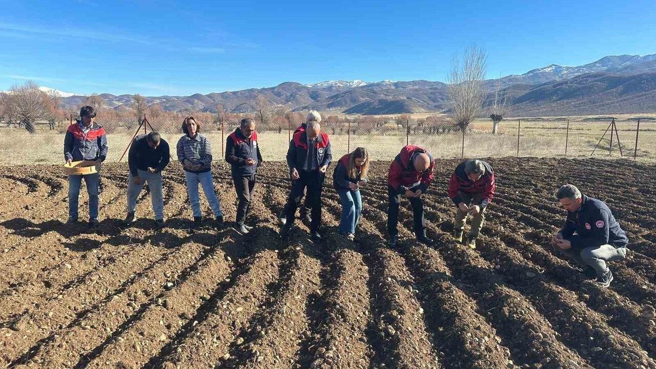 Tunceli’de Sarımsak Ekim Çalışmaları Başladı