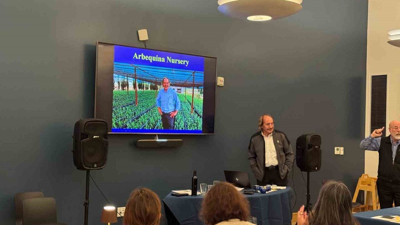 Türk Zeytinyağına ABD'de Yoğun İlgi