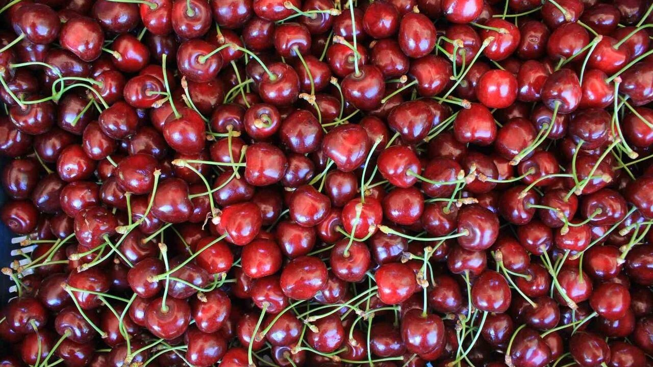 Türkiye'de İlk Coğrafi İşaret Günü 15 Aralık'ta Kutlanacak