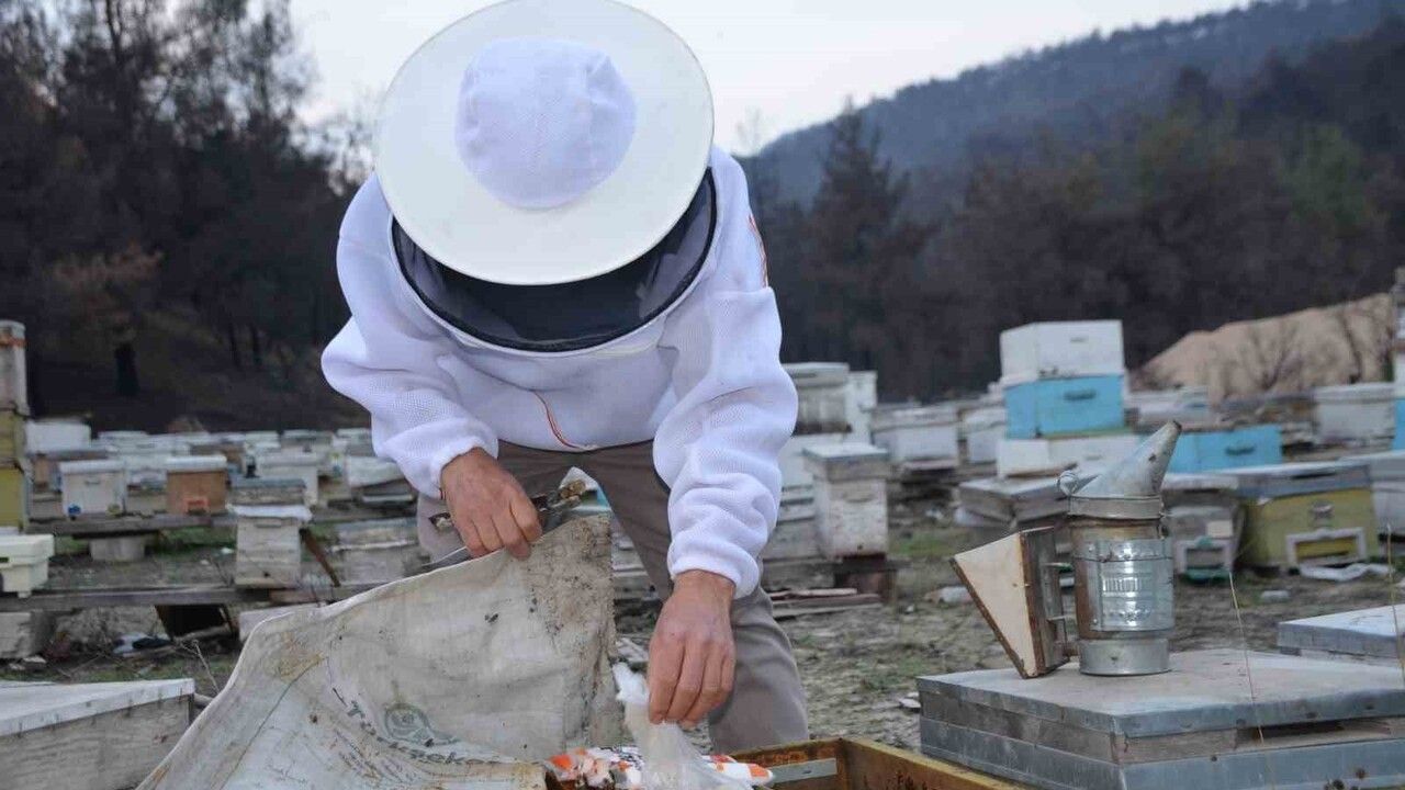 Türkiye'nin Arıcılık Sektöründe Yeni Bir Başarı Hikayesi