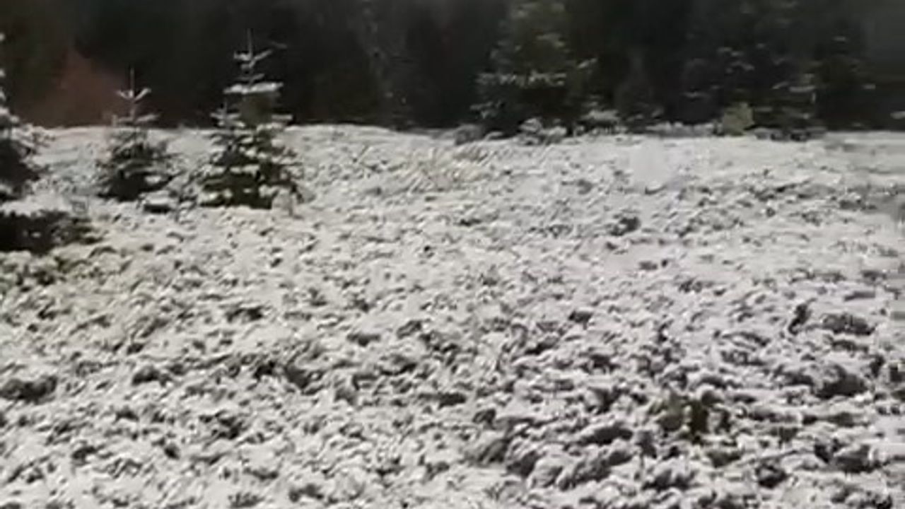 Uludağ'da Kar Yağışı Devam Ediyor