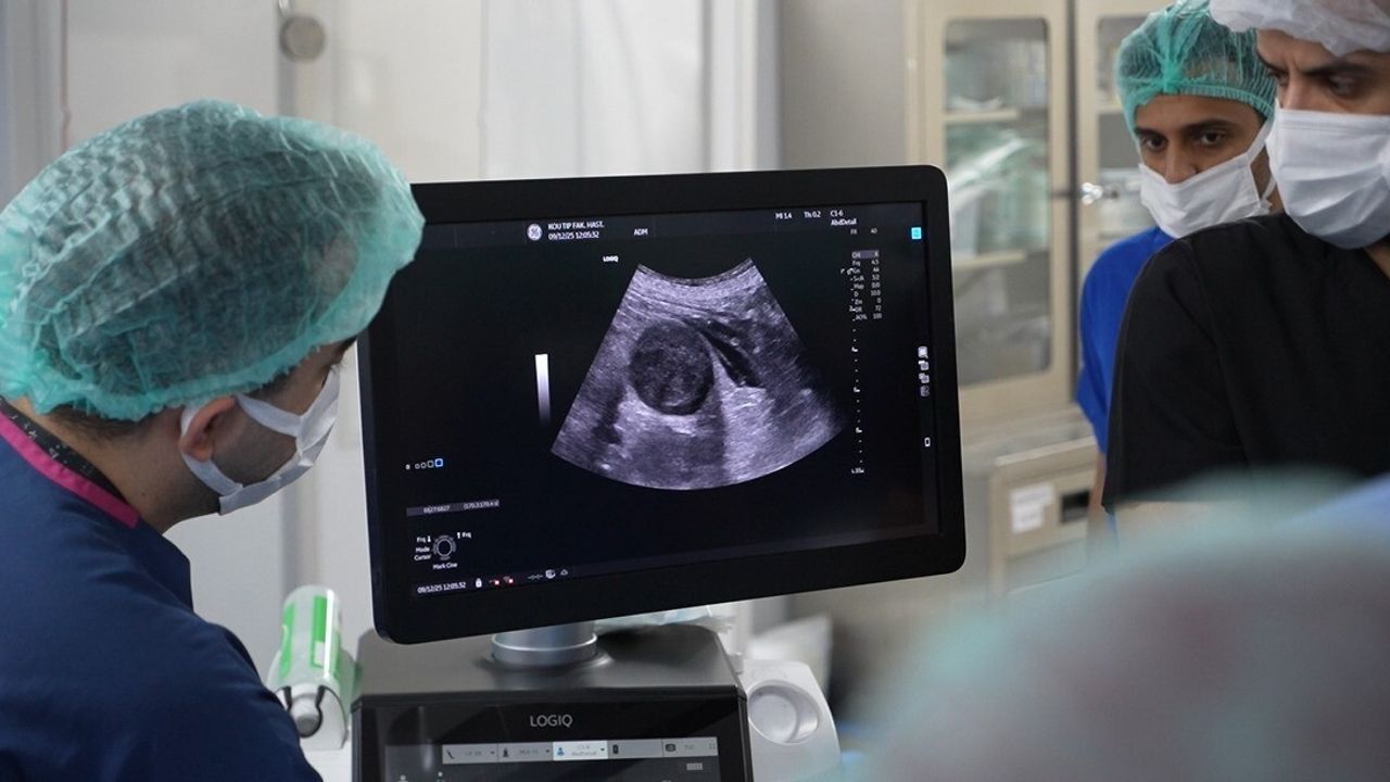 Uluslararası ilgiyle iğneyle tümör tedavisi Kocaeli Üniversitesi'nde tanıtıldı