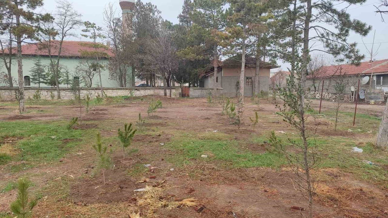 Umraniye Köylüleri Ormanlaşma İçin 300 Fidan Dikti