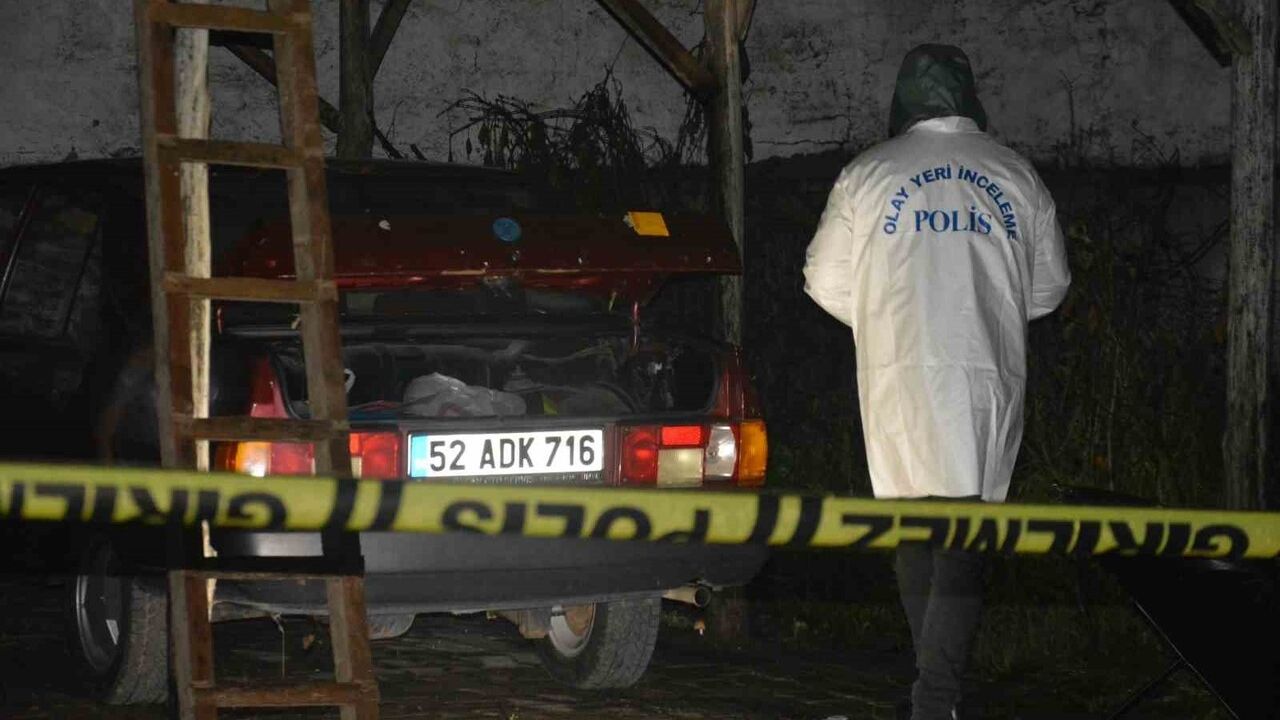 Ünye'de Patlayıcı Madde Atan Şahıs Kısa Sürede Yakalandı