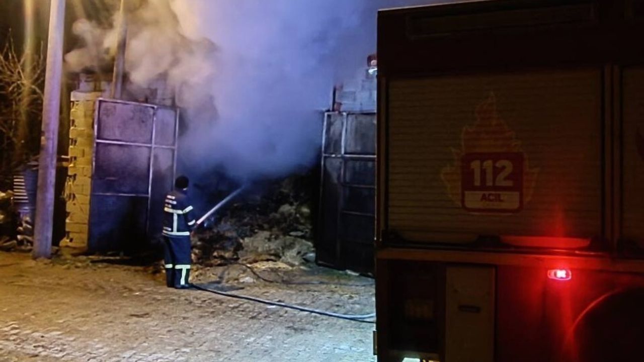 Uşak'ta Samanlık Yangını: 5 Koyun Telef Oldu