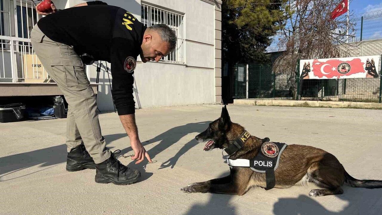 Uyuşturucu Tacirlerine Darbe: Hassas Burunlu Köpekler Görevde