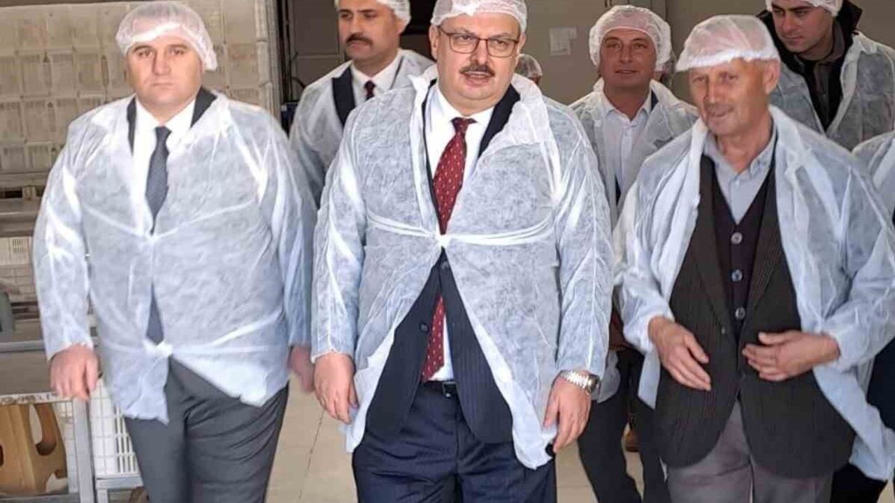 Vali Canbolat'tan Zeytinyağı Sıkım Tesislerine Ziyaret