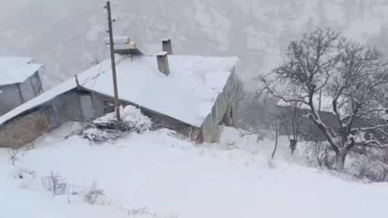 Van-Bahçesaray Yolu Kapatıldı, 206 Yerleşim Yerin Ulaşımı Kesildi