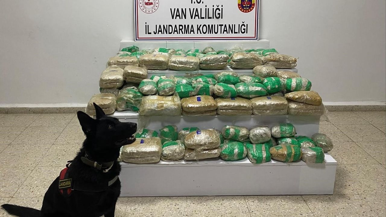 Van'da 51 Kilo Skunk Madde Ele Geçirildi