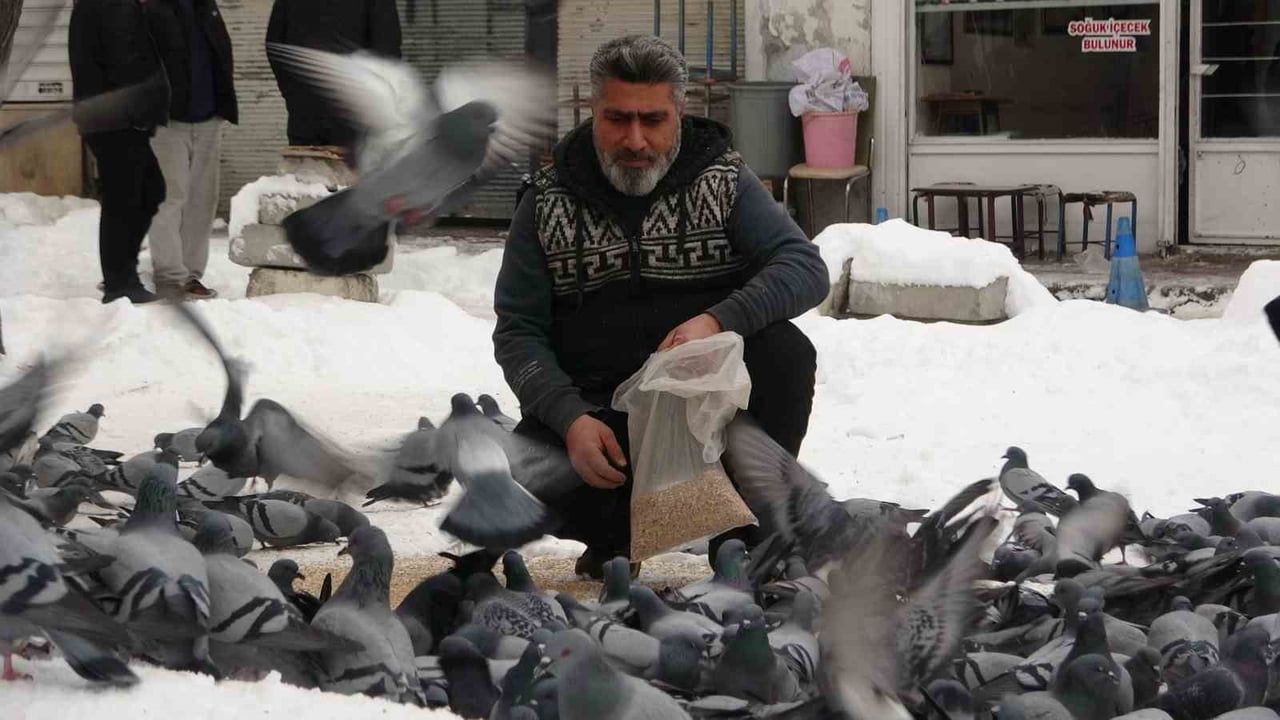 Van'da Kar Sonrası Güvercinlerin Görsel Şöleni