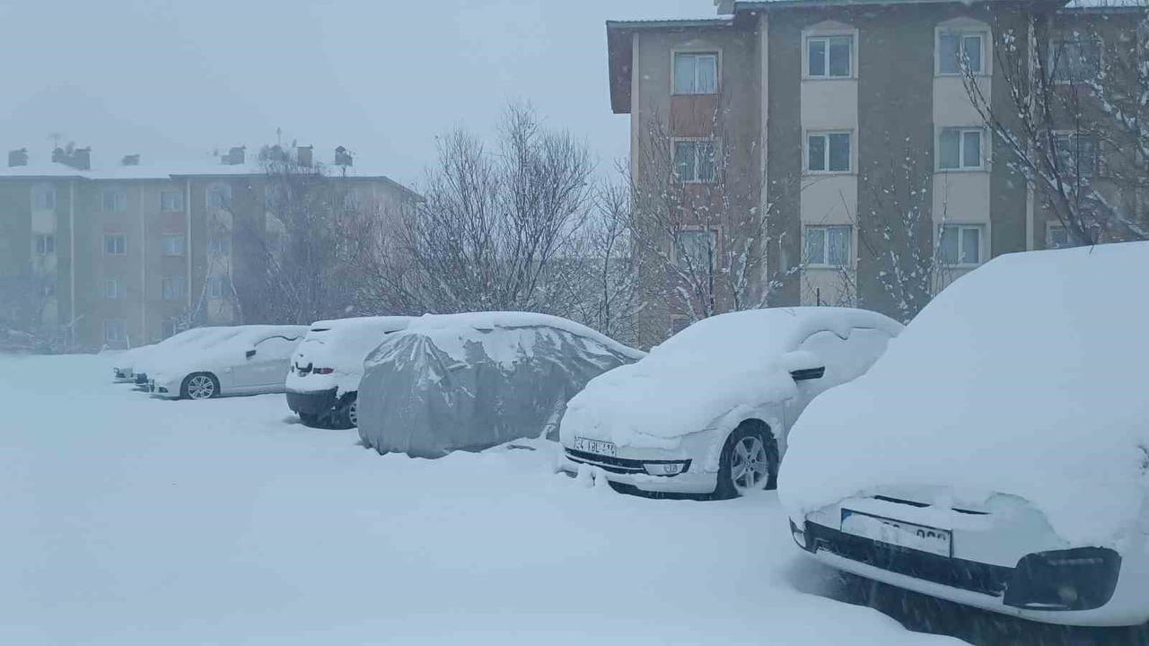 Van'da Kar Yağışı Etkili: 569 Yol Kapandı, Uçak Seferleri İptal