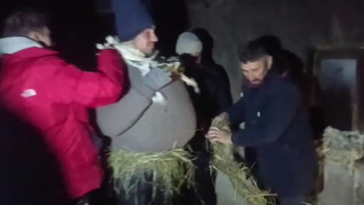 Van'da Kış Eğlencesi: Köse-Gelin Geleneği