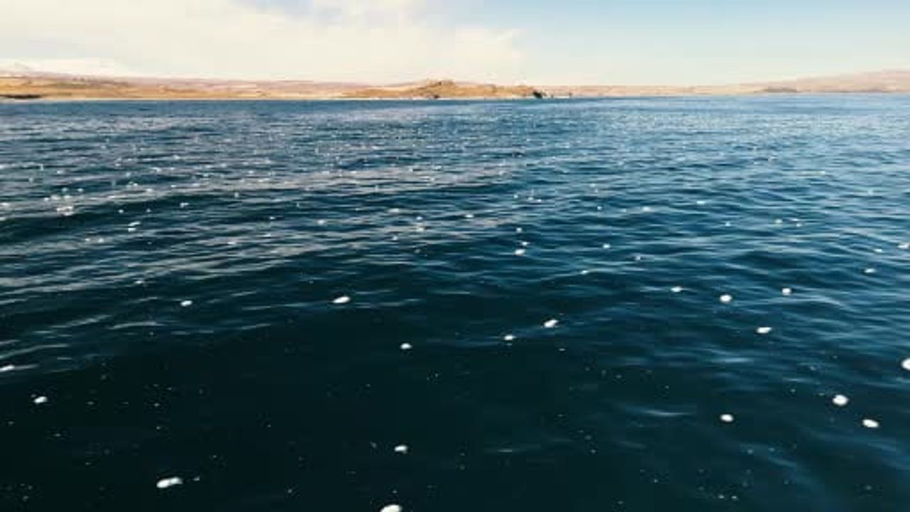 Van Gölü'nde Köpüklenme Olayı