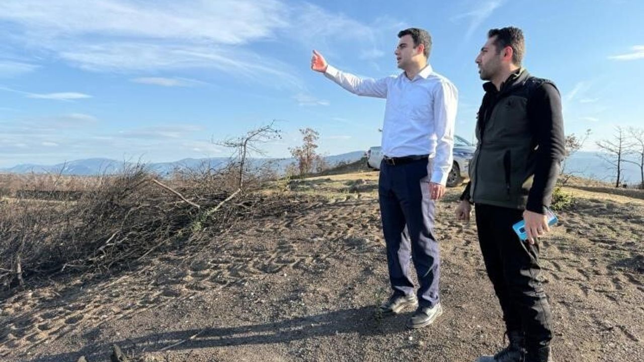 Yangın Alınları Yeniden Yeşeriyor