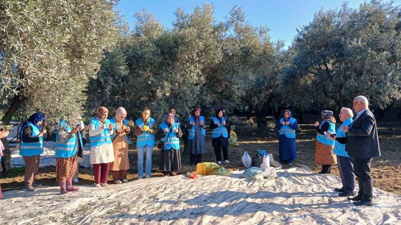 Yatağan'da Zeytin Hasadı ve Bereket Duası Gerçekleştirildi