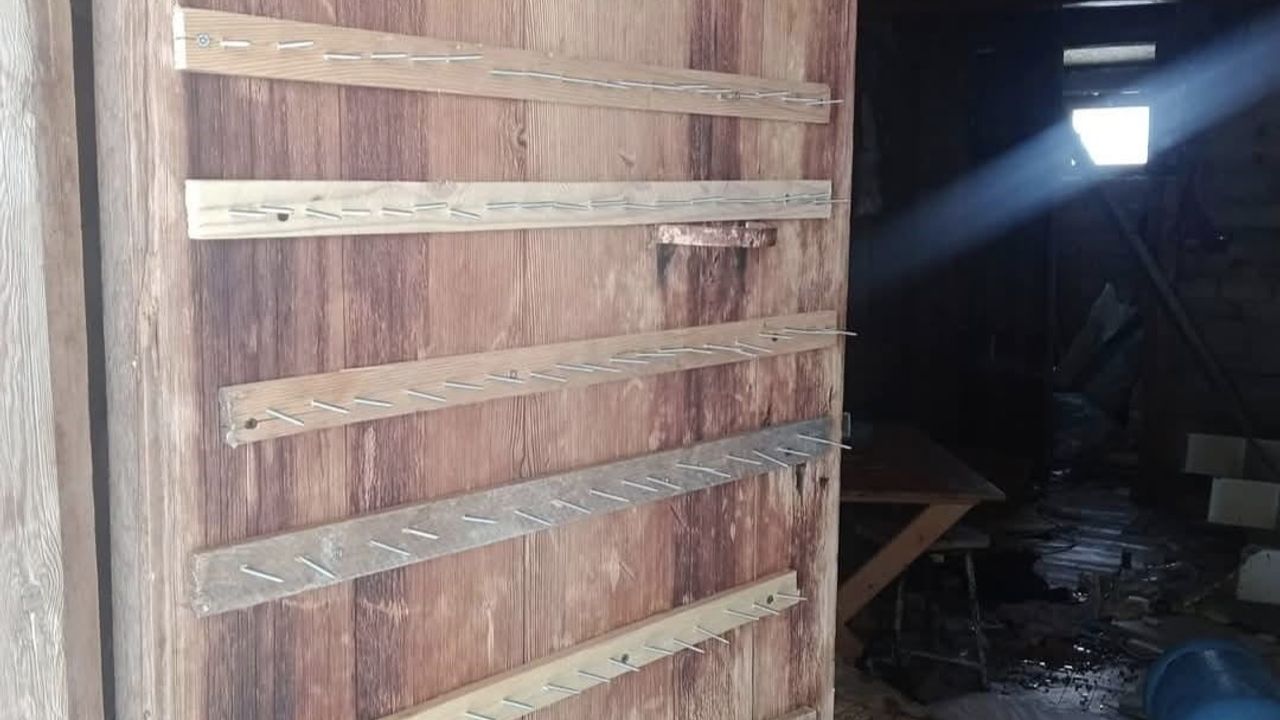 Yaylalarda Ayı Sorunu Devam Ediyor