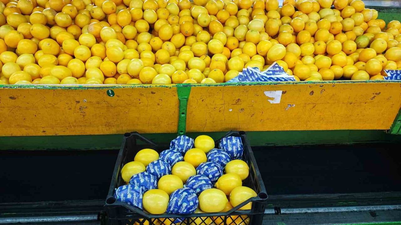 Yeni Yılda Adana'dan Narenciye İhracatı Artıyor