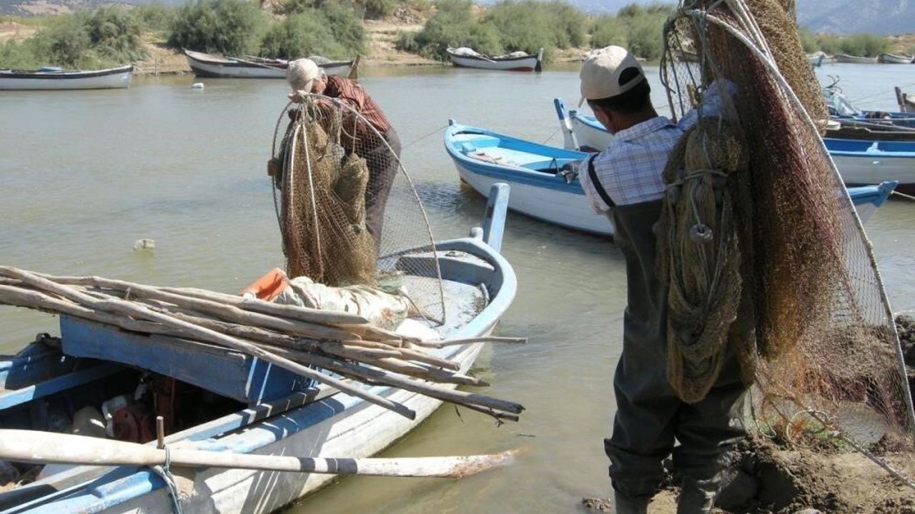 Yılan Balıkları Meksika'dan Aydın'a Ulaştı