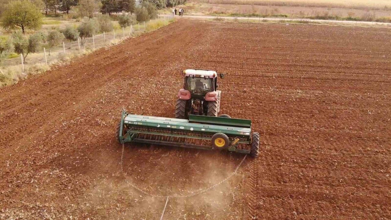 Yıldız Tarım, Mardin'de Yerli Tohum Üretimini Artırıyor