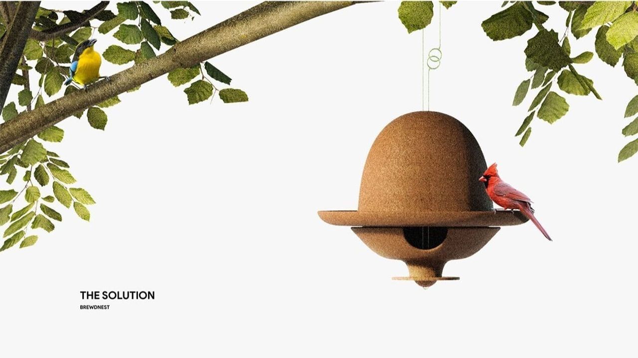 Yılmaz Salman’ın Brewnest Projesi, Seoul Design Awards'ta Üç Ödül Kazandı