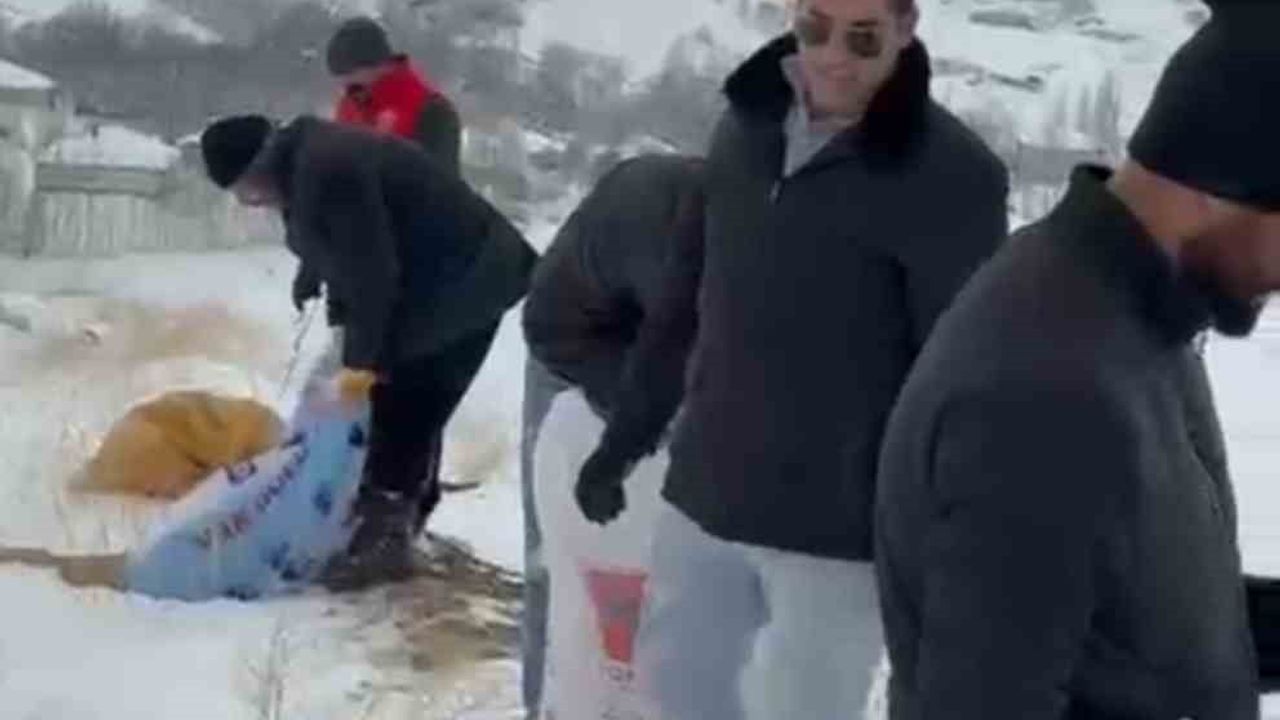 Yüksekova'da Dağ Keçileri İçin Şefkatli Müdahale