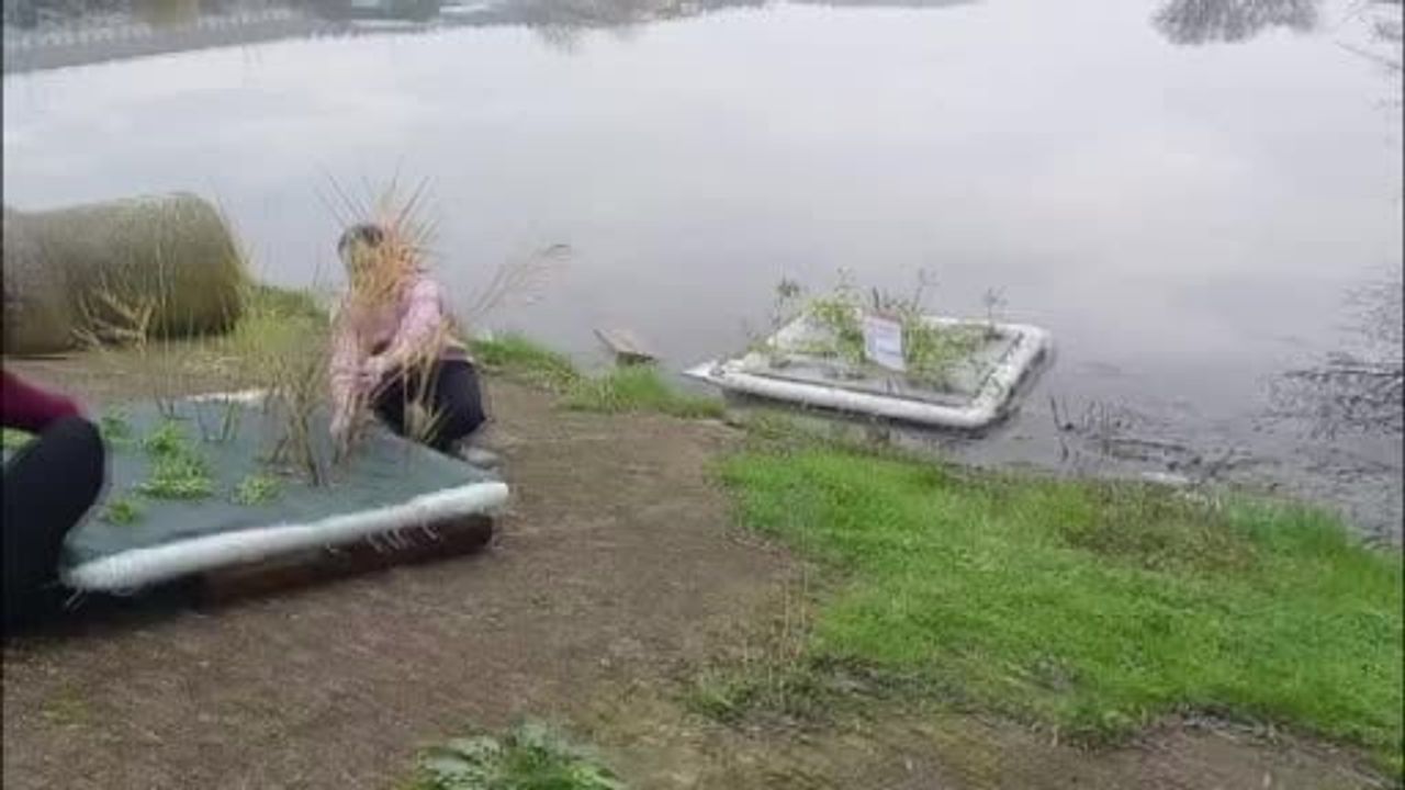 Yüzen Adacıklarla Su Kirliliğine Çözüm