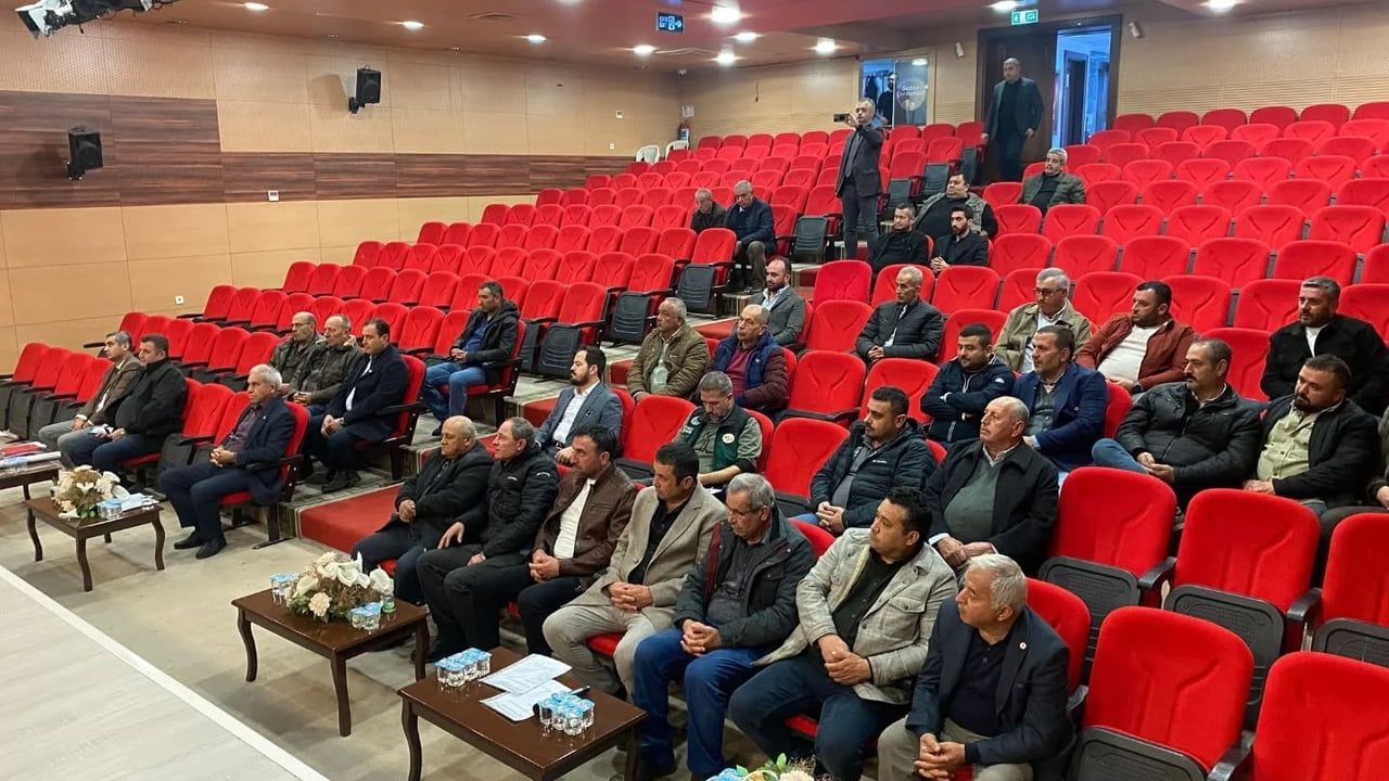 Zeytin Üreticileri İçin Destek ve Markalaşma Çalışmaları