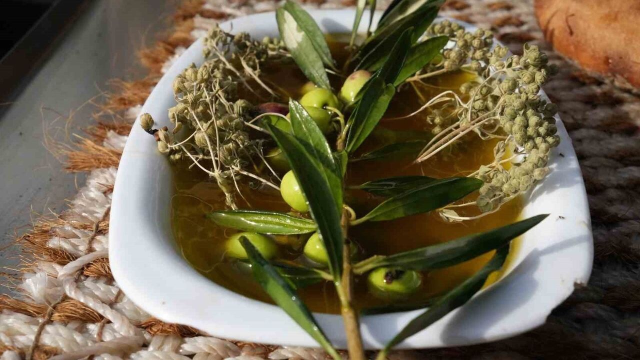 Zeytinyağı Çeşitleri: Erken ve Olgun Hasat Farkları