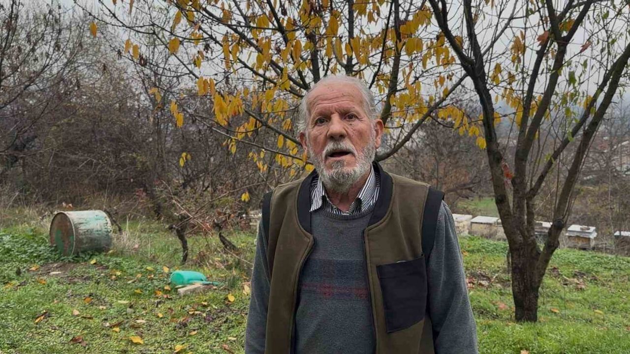 Zirai İlaçlar Arıların Katili Oluyor