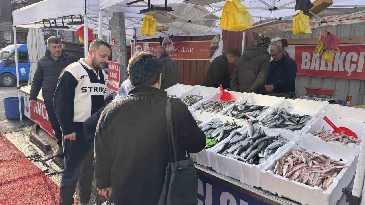 Zonguldak'ta Hamsi Yoğunluğu ve Palamut Eksikliği