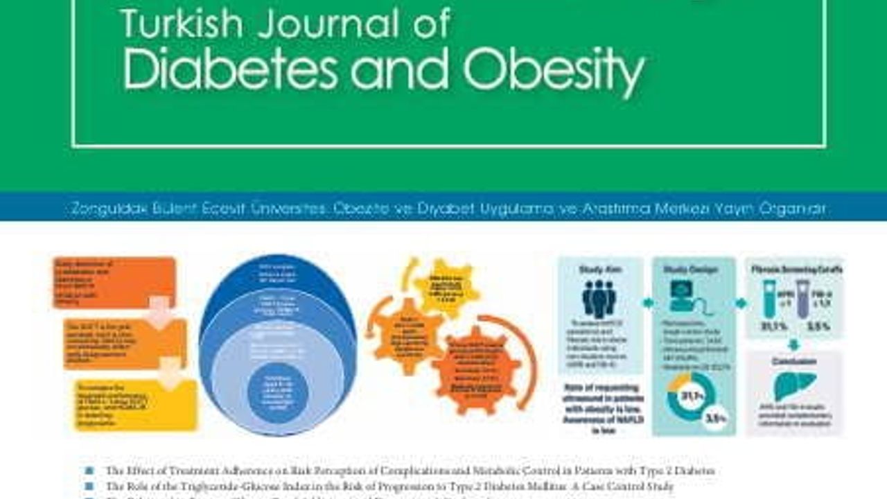 2025 Aralık'ta Türkiye Diyabet ve Obezite Dergisi Yayınlandı