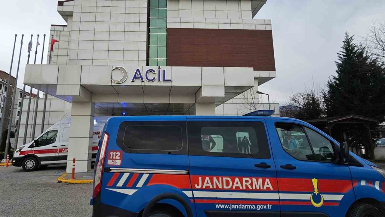 3 Yaşındaki Çocuk Bungalovda Havuzda Boğulma Tehlikesi Geçirdi