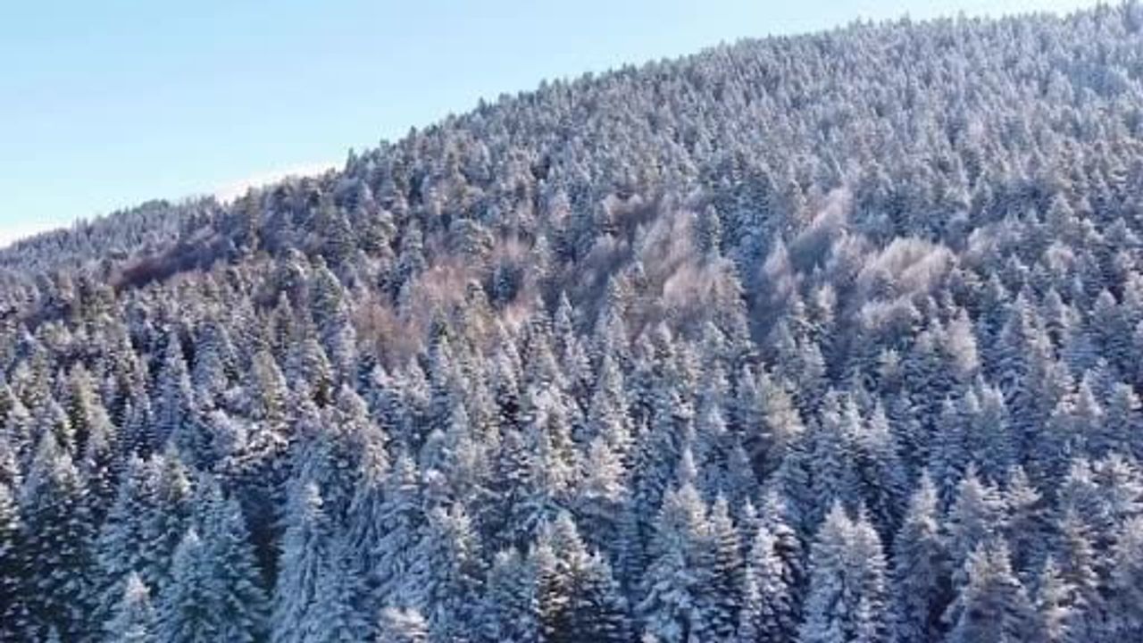 Abant Gölü'nde Kışın Büyüsü