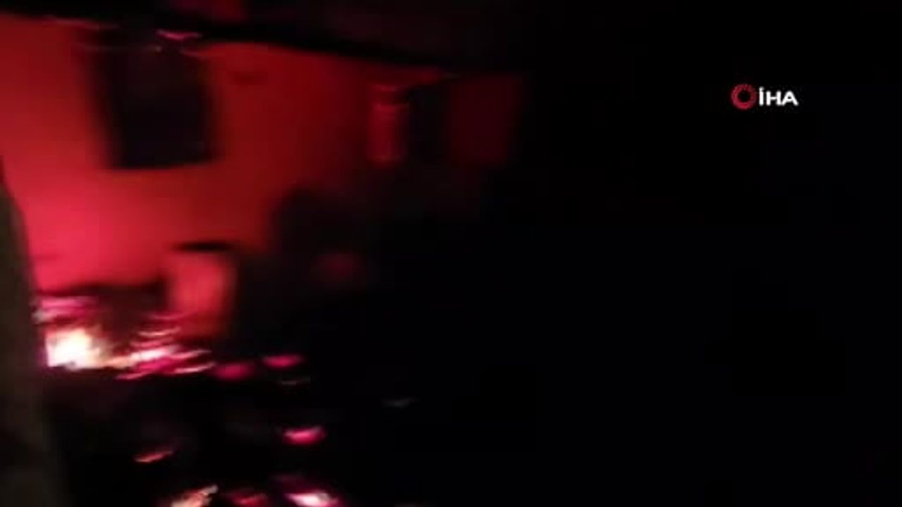 Adana'da Yangın Felaketi: Ev ve Ahır Kül Oldu