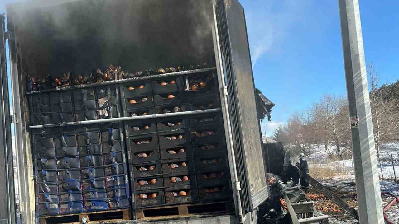 Adana-Pozantı Otoyolu'nda Narenciye Yüklü Tırda Yangın